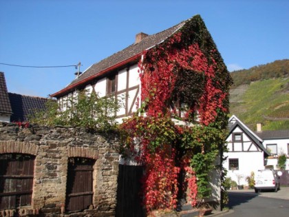 照片: Altenwegshof
